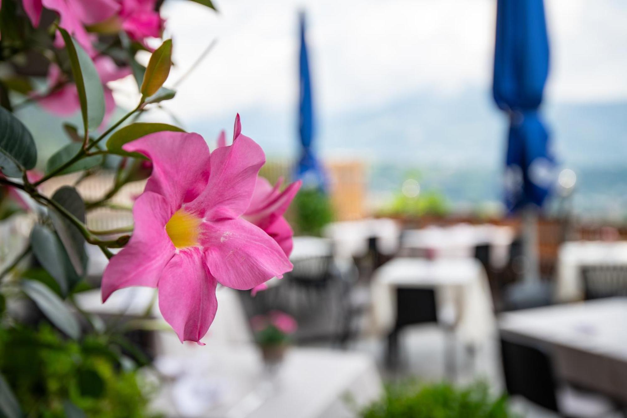 Hotel Residence Mavie ラグンド エクステリア 写真